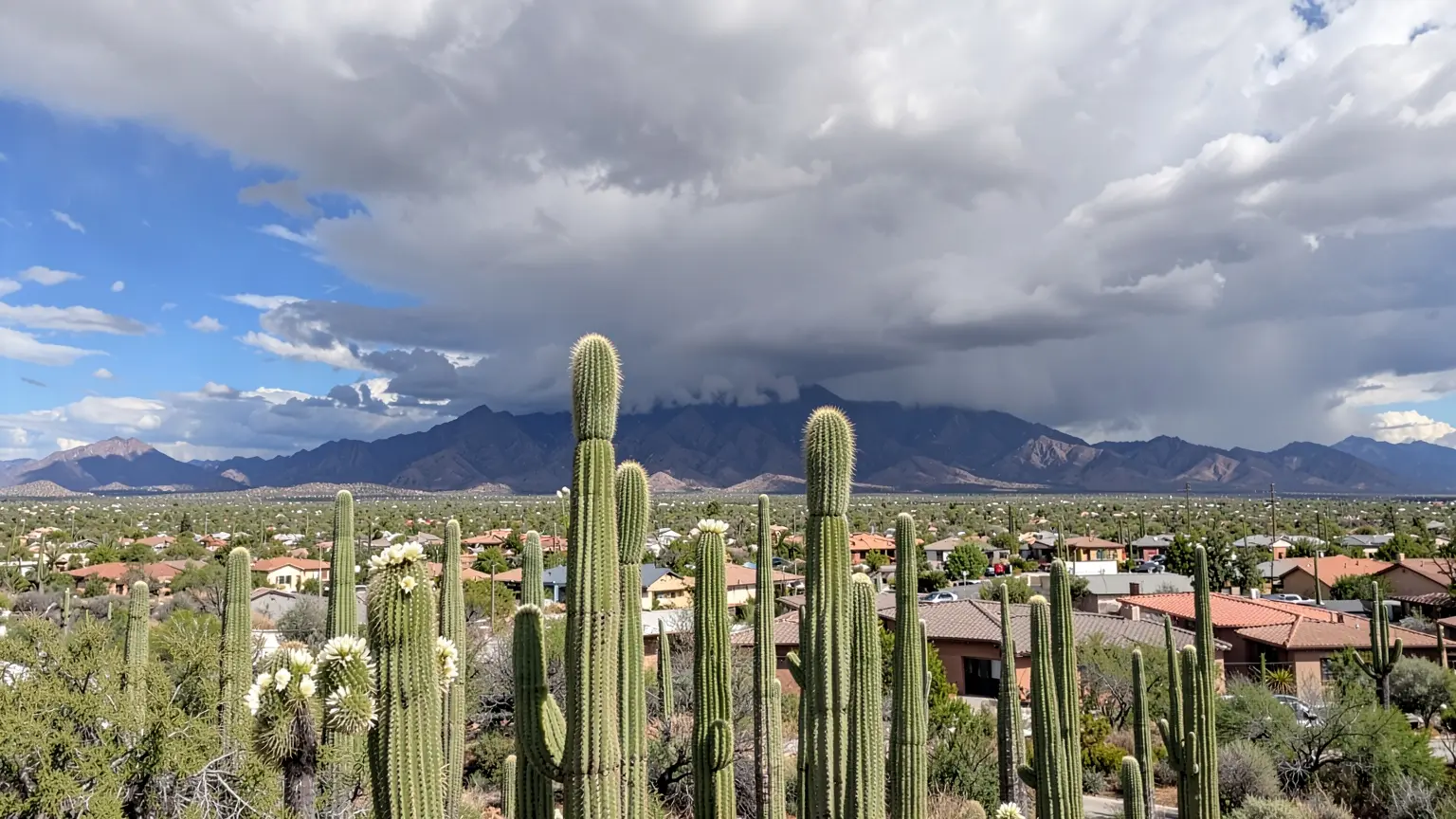 Tucson basin with the Santa Catalina Mountains
